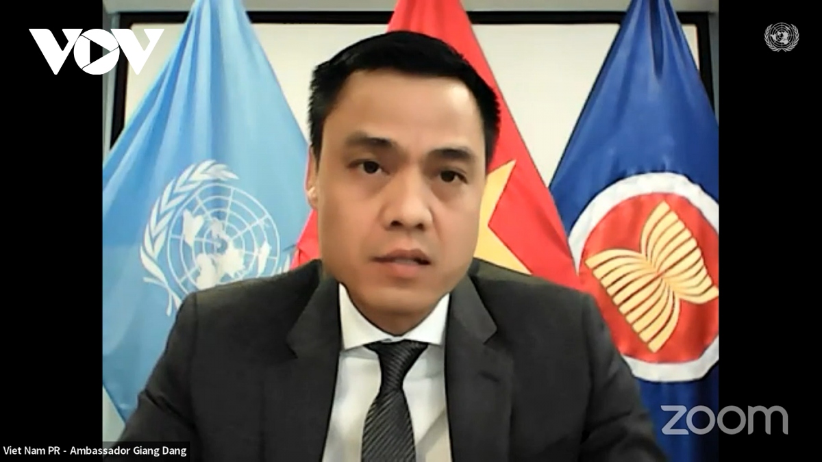 Vietnamese ambassador underlines maintaining peace for global development